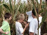 Guest cards are punched at each post to show who found all 12 posts in the corn maze at Knollbrook Farm in Goshen, Indiana